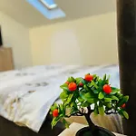 Apartment Zizi's House Garii *
