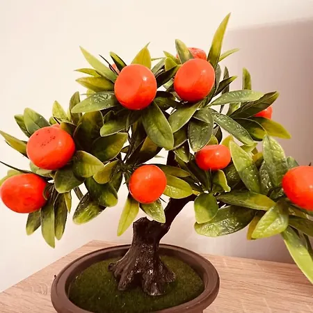 Zizi's House Garii Appartement *