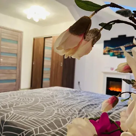 Appartement Zizi's House Garii *