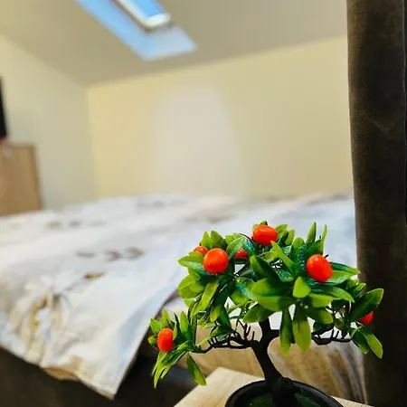 Apartment Zizi's House Garii *