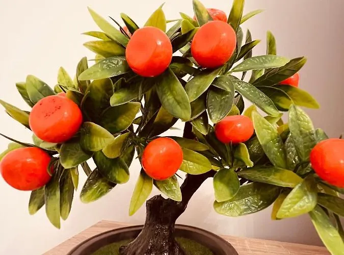 Zizi's House Garii Appartement *