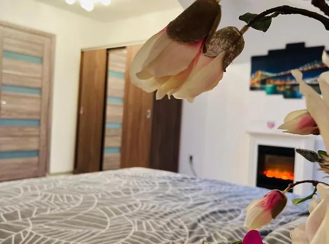 Appartement Zizi's House Garii *