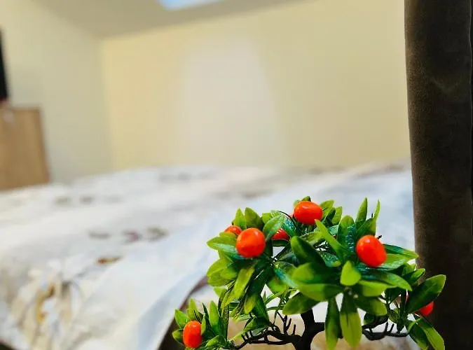 Appartement Zizi's House Garii *